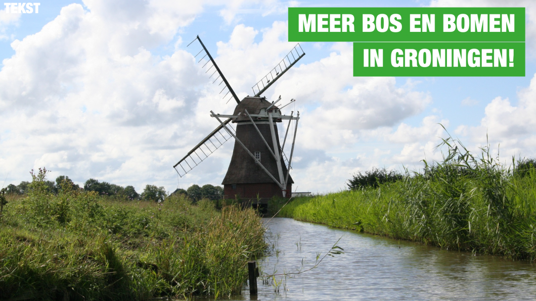 meer bomen en groen