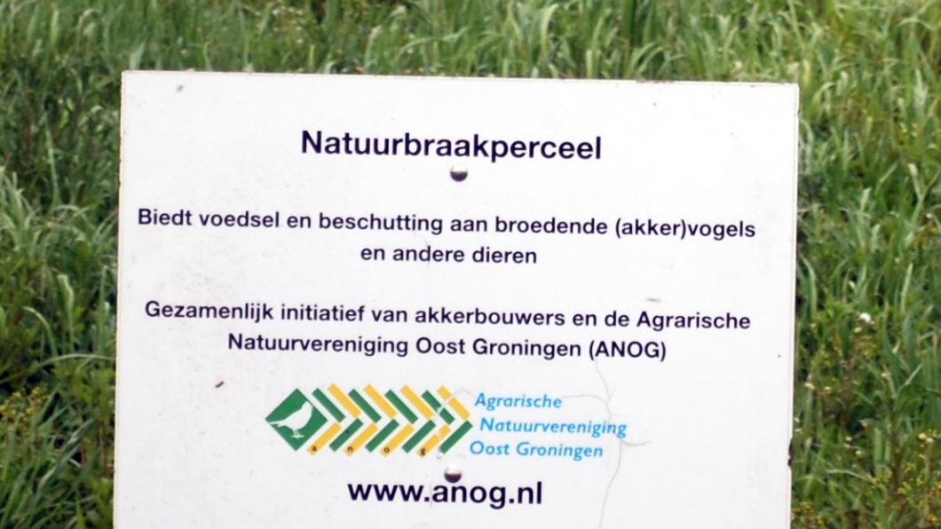 Natuurbraakperceel klein.jpg