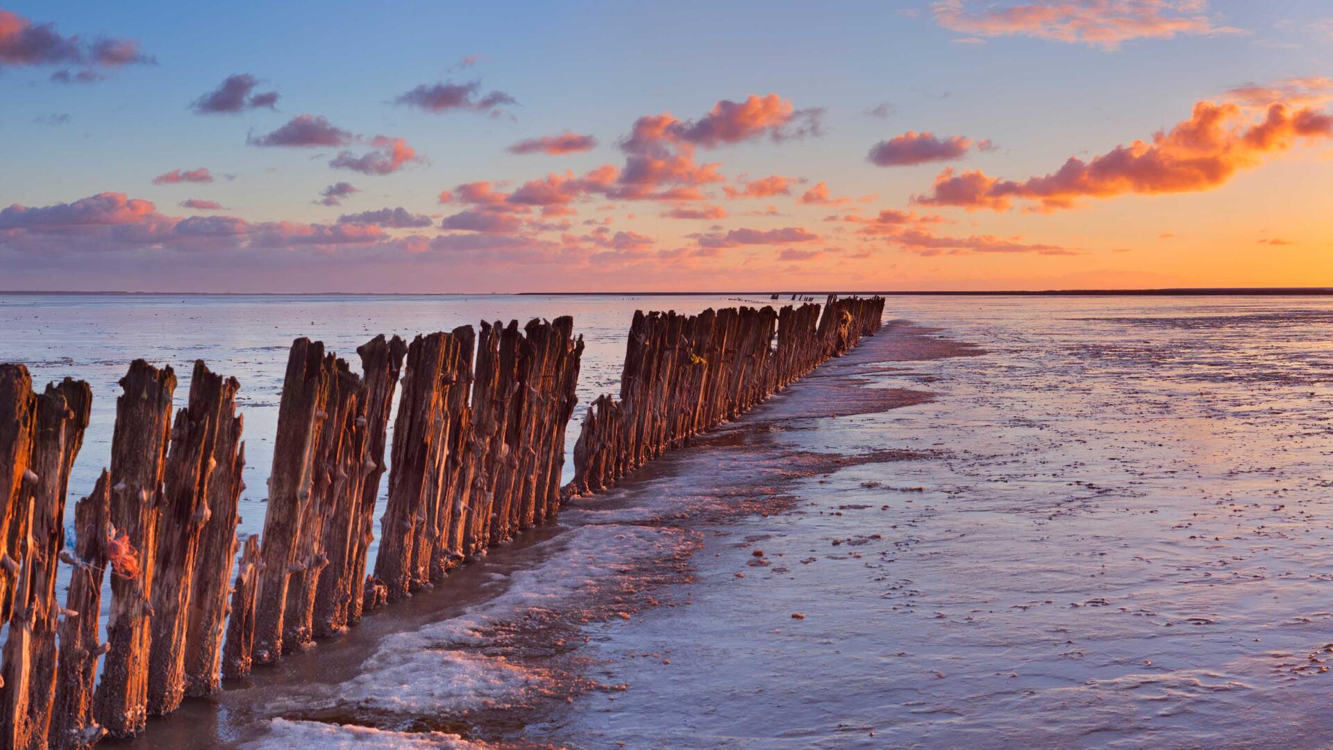 waddenzee